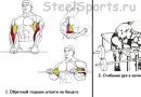 Лучшие упражнения для предплечий Физические упражнения для мышц рук предплечья