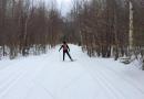 Как выбрать лыжи по росту и весу: идеальная экипировка для зимних прогулок