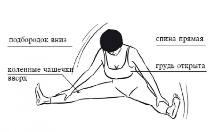 Упражнения на растяжку мышц ног в домашних условиях для шпагата, силовой тренировки, фитнеса