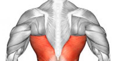 Техника выполнения тяги верхнего блока к груди и за голову различным хватом Блок для мышц спины верхняя тяга